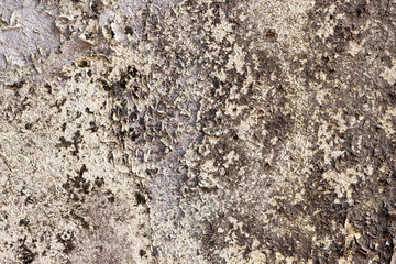 white concrete wall texture