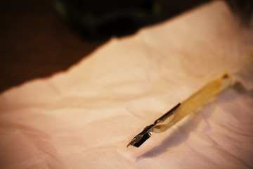 Fototapeta premium Feather quill pen with metal nib
