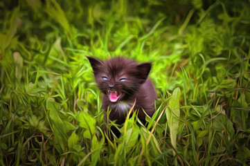 Fretting kitten in the grass