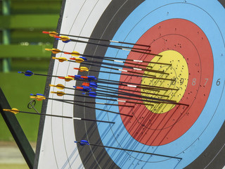 Archery arrow and target