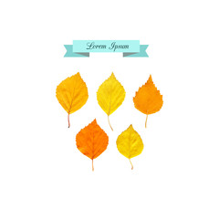 Set of autumn bright yellow leaves in vector.