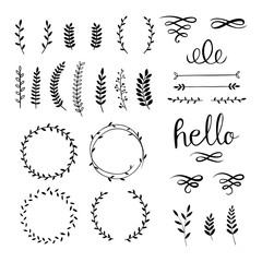 Vintage set with herbs. Vector.