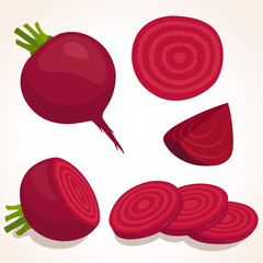 Vector beets isolated on background. Red beetroot whole, cut, sliced. Set of fresh beets in different forms. - obrazy, fototapety, plakaty