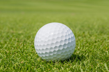 Close up the Golf ball on grass with blurred green course backgr