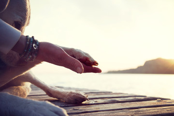 Dog's paw and man's hand gesture of friendship in front of the sea
