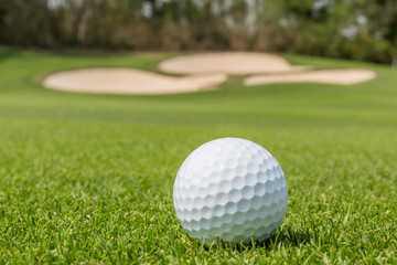 Close up the Golf ball on grass with blurred green course backgr