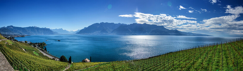 Famouse vineyards in Montreux against Geneva lake.  - obrazy, fototapety, plakaty