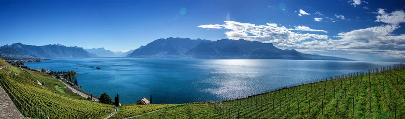 Fotobehang Famouse wijngaarden in Montreux tegen het meer van Genève. © sichkarenko_com