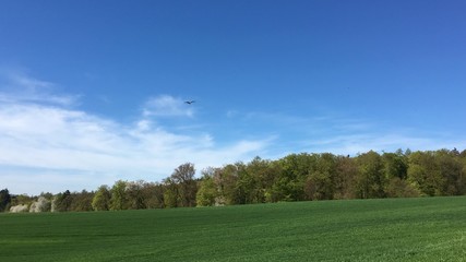 Schöne Landschaft