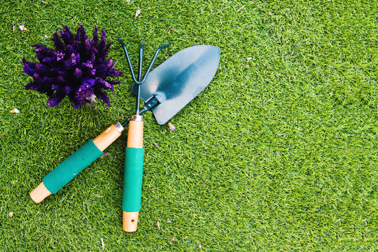 Shovel , Rake And Flower On Grass.