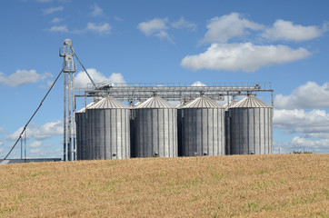 Wheat field and silos