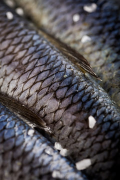 Close-up Of The Silver Skin Of Baltic Herring