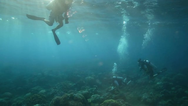 Scuba divers ending dive over coral reef in Apo Island, Philippines 