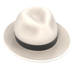 3d renderings of panama hat
