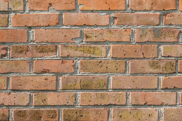 Brick wall background