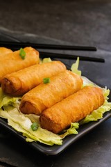 Spring Rolls on dark moody background, selective focus