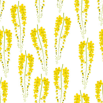 Cassia Fistula - Gloden Shower Flower Vector Illustration
