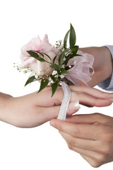putting pink rose corsage on the female's wrist