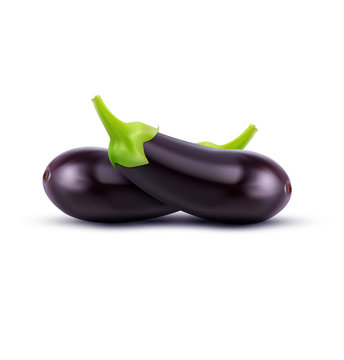 vector eggplant isolated on white background
