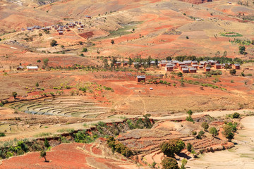 Naklejka premium Small village and rice fields in the damaged red landscape of Madagascar