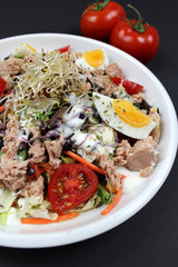 Gemischter Salat mit Thunfisch, Ei und Joghurtdressing