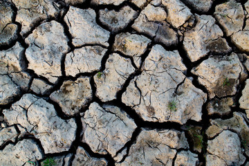 land with dry cracked ground