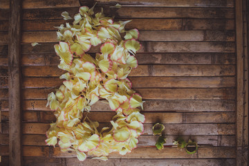 petals flowers form March  8  frame Women's Day postcard