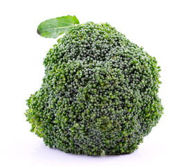 Broccoli on White Background