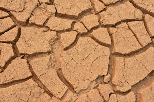 Closeup of dry land