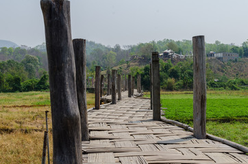 Zutongpe bamboo bridge over the rice field in Mae Hong Son Province, Thailand.