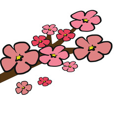 Pink Cherry Blossom flower colorless for colorling book 