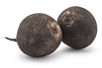 Two fresh ripe organic black radishes isolated on white background