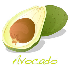 Avocado isolated on white