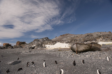 Antarctica nice view