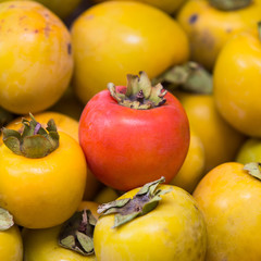 Persimmons fruit at the farmers market