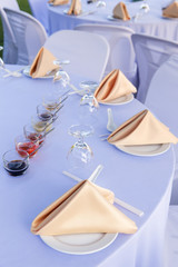 Luxury restaurant set