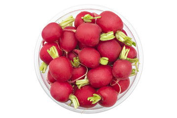 Raw organic small garden radishes in a bowl on white background