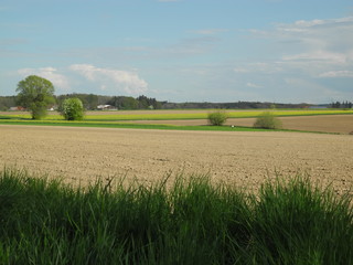 Erding