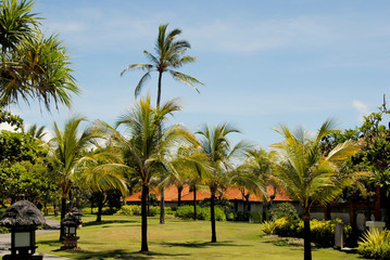 Obraz na płótnie Canvas Asian tropical Park with bridges and buildings on the island of Bali.Indonesia 