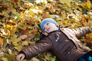 Portrait of a cheerful little boy wallow in fall foliage.