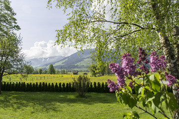 Fototapeta na wymiar Paisaje de naturaleza en Maria Alm, Austria