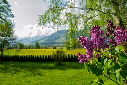 Paisaje de naturaleza en Maria Alm, Austria