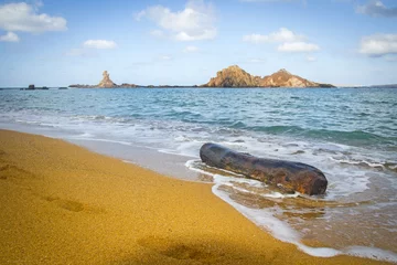 Photo sur Plexiglas Cala Pregonda, île de Minorque, Espagne Tronc reposant à Cala Pregonda