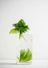 Fresh cocktail with mint on the wooden background