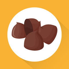 colorful chocolate design, vector illustration, sweet and delicious
