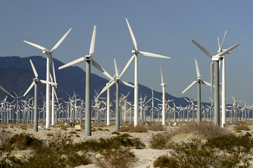 Wind Farm
