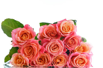bouquet of pink roses