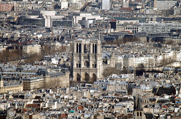 Obraz premium Blick vom Eiffelturm auf die île de la Cité und Notre Dame, Paris