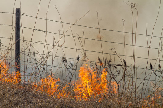 fire and smoke, burning prairie grass, Flint Hills, Kansas