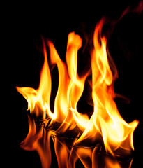 Fototapeta premium Fire flames on a black background